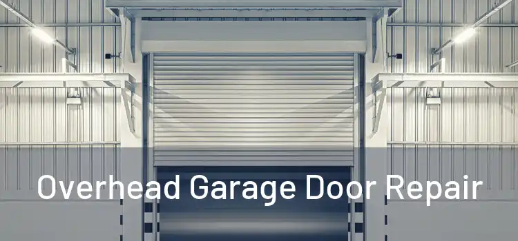  Overhead Garage Door Repair 