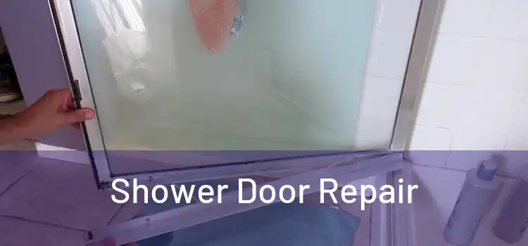  Shower Door Repair 